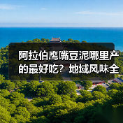 阿拉伯鹰嘴豆泥哪里产的最好吃？地域风味全解析（图3）