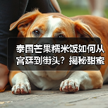 泰国芒果糯米饭如何从宫廷到街头？揭秘甜蜜传承（图4）