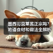 墨西哥莫莱酱正宗吗？地道食材和做法全解析（图4）