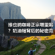 维也纳咖啡正宗哪里喝？奶油帽背后的秘密竟如此？（图2）
