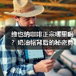 维也纳咖啡正宗哪里喝？奶油帽背后的秘密竟如此？（图4）