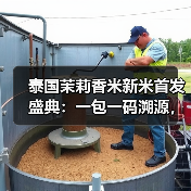 泰国茉莉香米新米首发盛典：一包一码溯源，品质如何保障？