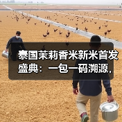 泰国茉莉香米新米首发盛典：一包一码溯源，品质如何保障？（图2）