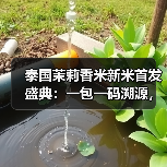 泰国茉莉香米新米首发盛典：一包一码溯源，品质如何保障？（图3）