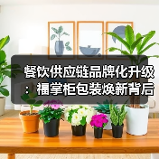 餐饮供应链品牌化升级：福掌柜包装焕新背后的黄金曲线逻辑（图4）