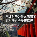 东坡肘子为什么肥而不腻?秘方全步骤解析(图4) 东坡肘子为什么肥而不腻?秘方全步骤解析(图4)