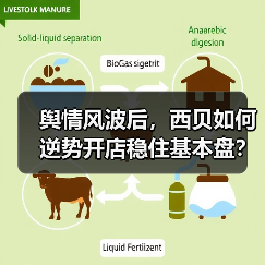 舆情风波后，西贝如何逆势开店稳住基本盘？