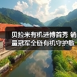 贝拉米有机进博首秀 销量冠军全链有机守护敏宝宝成长