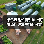 绿色云品如何引爆上海市场?沪滇产销对接新突破(图2) 绿色云品如何引爆上海市场?沪滇产销对接新突破(图2)