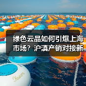 绿色云品如何引爆上海市场?沪滇产销对接新突破(图4) 绿色云品如何引爆上海市场?沪滇产销对接新突破(图4)