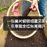 一包薯片解锁明星见面?乐事现金红包周周开奖引爆消费新体验(图2) 一包薯片解锁明星见面?乐事现金红包周周开奖引爆消费新体验(图2)