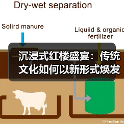 沉浸式红楼盛宴:传统文化如何以新形式焕发光彩?(图3) 沉浸式红楼盛宴:传统文化如何以新形式焕发光彩?(图3)