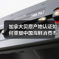 加拿大贝原产地认证如何重塑中国海鲜消费市场？（图2）