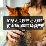 加拿大贝原产地认证如何重塑中国海鲜消费市场？