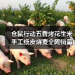 仓鼠行动五香烤花生米手工纸皮烧麦全网销量第一?(图3) 仓鼠行动五香烤花生米手工纸皮烧麦全网销量第一?(图3)