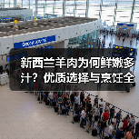 新西兰羊肉为何鲜嫩多汁?优质选择与烹饪全攻略(图4) 新西兰羊肉为何鲜嫩多汁?优质选择与烹饪全攻略(图4)