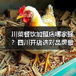 川菜餐饮加盟店哪家强？四川开店选对品牌最关键（图2）