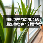 如何为中档次川菜餐厅起独特名字？创意命名推荐（图3）