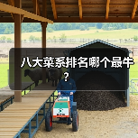 八大菜系排名哪个最牛？（图2）