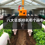 八大菜系排名哪个最牛？（图3）
