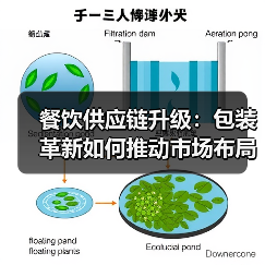 餐饮供应链升级:包装革新如何推动市场布局与产品战略?(图2) 餐饮供应链升级:包装革新如何推动市场布局与产品战略?(图2)