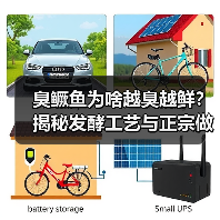 臭鳜鱼为啥越臭越鲜？揭秘发酵工艺与正宗做法