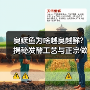 臭鳜鱼为啥越臭越鲜?揭秘发酵工艺与正宗做法(图3) 臭鳜鱼为啥越臭越鲜?揭秘发酵工艺与正宗做法(图3)