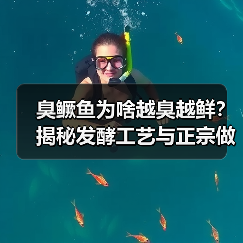 臭鳜鱼为啥越臭越鲜?揭秘发酵工艺与正宗做法(图4) 臭鳜鱼为啥越臭越鲜?揭秘发酵工艺与正宗做法(图4)