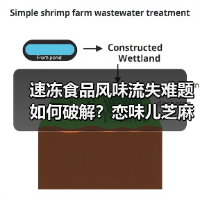 速冻食品风味流失难题如何破解？恋味儿芝麻鸡柳七年销量第一秘籍