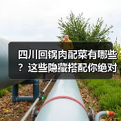 四川回锅肉配菜有哪些？这些隐藏搭配你绝对不能错过！