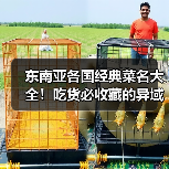 东南亚各国经典菜名大全!吃货必收藏的异域风味清单(图3) 东南亚各国经典菜名大全!吃货必收藏的异域风味清单(图3)