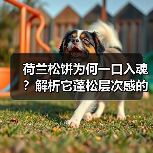 荷兰松饼为何一口入魂?解析它蓬松层次感的秘密(图3) 荷兰松饼为何一口入魂?解析它蓬松层次感的秘密(图3)