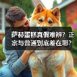 萨赫蛋糕真假难辨？正宗与普通到底差在哪？