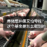 养猪想环保又怕亏钱？这个基金是怎么做到的？