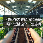 你还在为养殖污染头疼吗？试试这个“生态养殖环保精灵”怎么做到的？