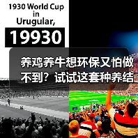 养鸡养牛想环保又怕做不到？试试这套种养结合循环模式（图2）