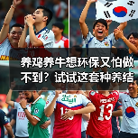 养鸡养牛想环保又怕做不到？试试这套种养结合循环模式