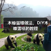 木糠蛋糕做法，DIY木糠蛋糕的教程