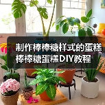 制作棒棒糖样式的蛋糕 棒棒糖蛋糕DIY教程(图4) 制作棒棒糖样式的蛋糕 棒棒糖蛋糕DIY教程(图4)