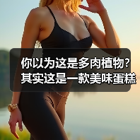你以为这是多肉植物?其实这是一款美味蛋糕(图3) 你以为这是多肉植物?其实这是一款美味蛋糕(图3)