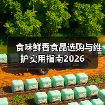 食味鲜香食品选购与维护实用指南2026