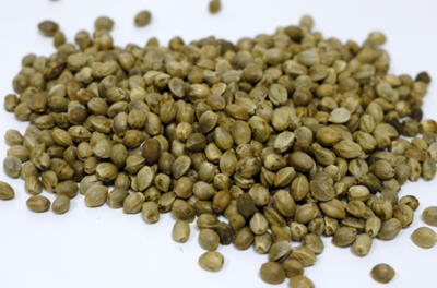 火麻籽的功效与作用