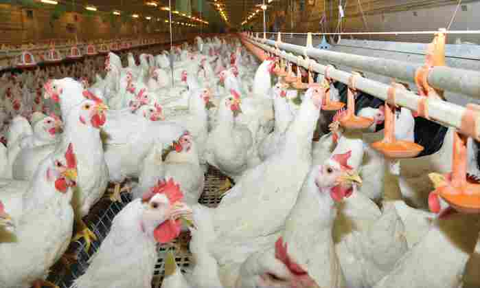 制造业转型升级路径：全产业链布局与数字化转型实践