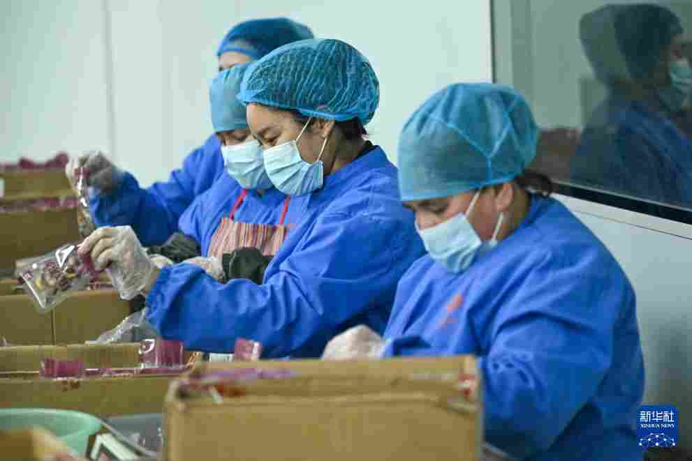 新春“疆”味浓 云端快车道助农增收