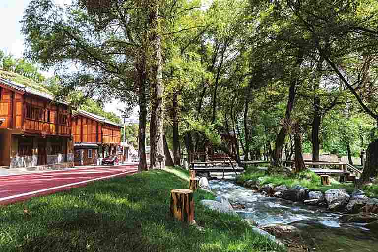 甘肃省甘南州临潭县冶力关镇池沟村：山坳里端起诗意饭碗