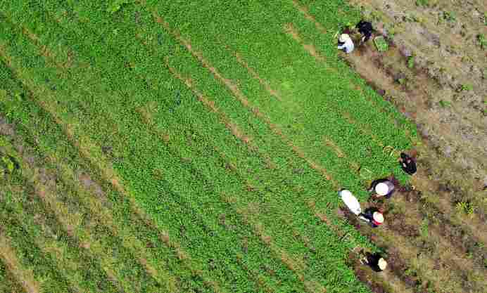 链动新质 绿焕生机——咸宁发展新质生产力构建现代化产业体系观察