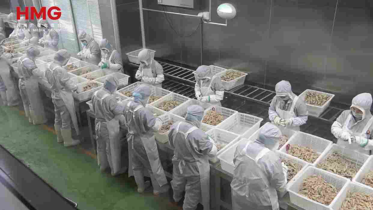 新乡原阳：开门红！食品企业扩能提产