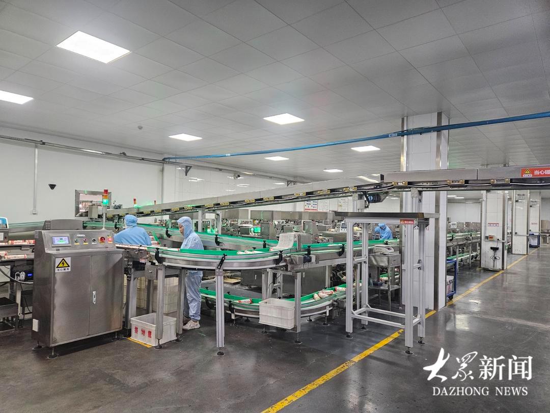 济宁大安镇：党建铸魂强产业，联企带农绘共富