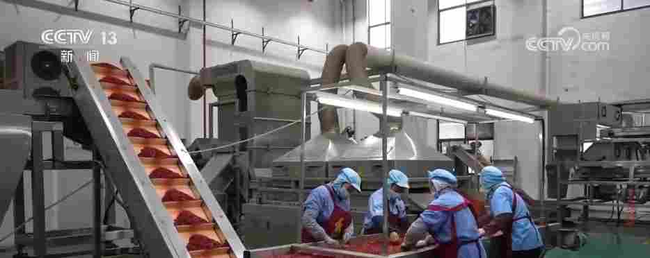 各地冬日果蔬供应量足价稳 丰富节日期间百姓“菜篮子”“果盘子”