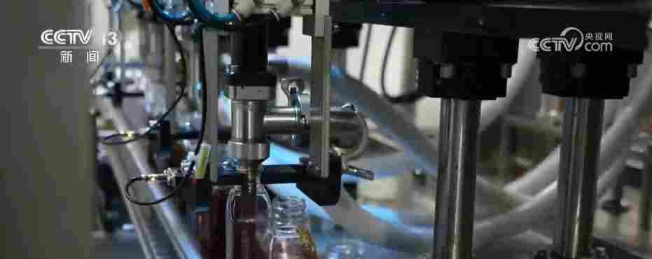 各地冬日果蔬供应量足价稳 丰富节日期间百姓“菜篮子”“果盘子”